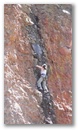 elrito_bill_069.jpg